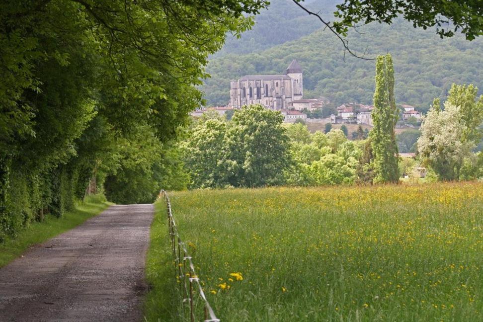 Chateau De Vidaussan Labroquere 외부 사진